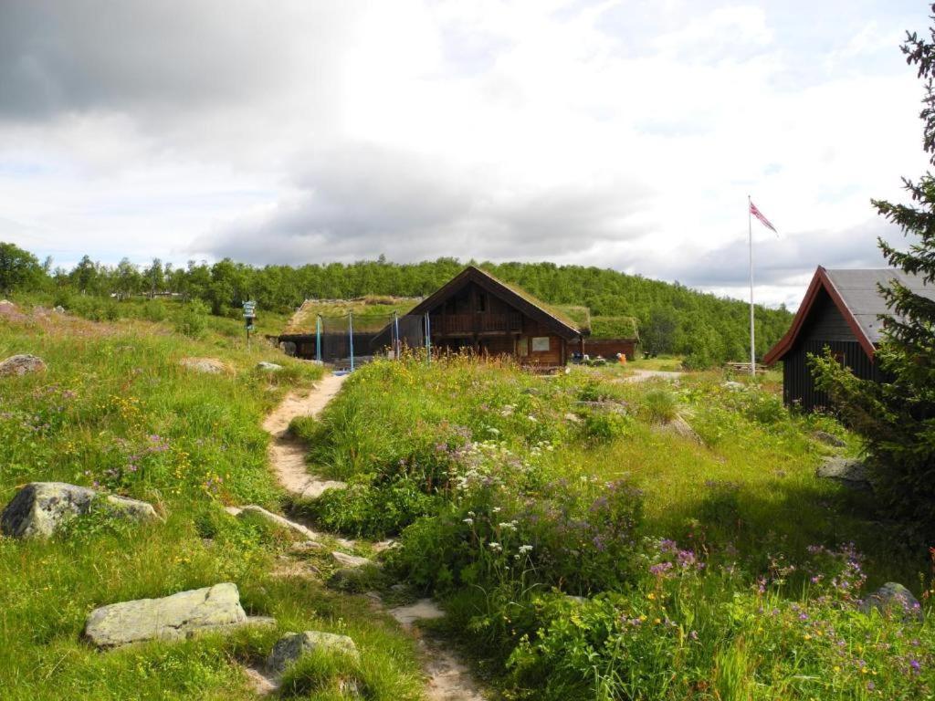 Hakkesetstolen Fjellstugu Hotel Geilo Exterior foto
